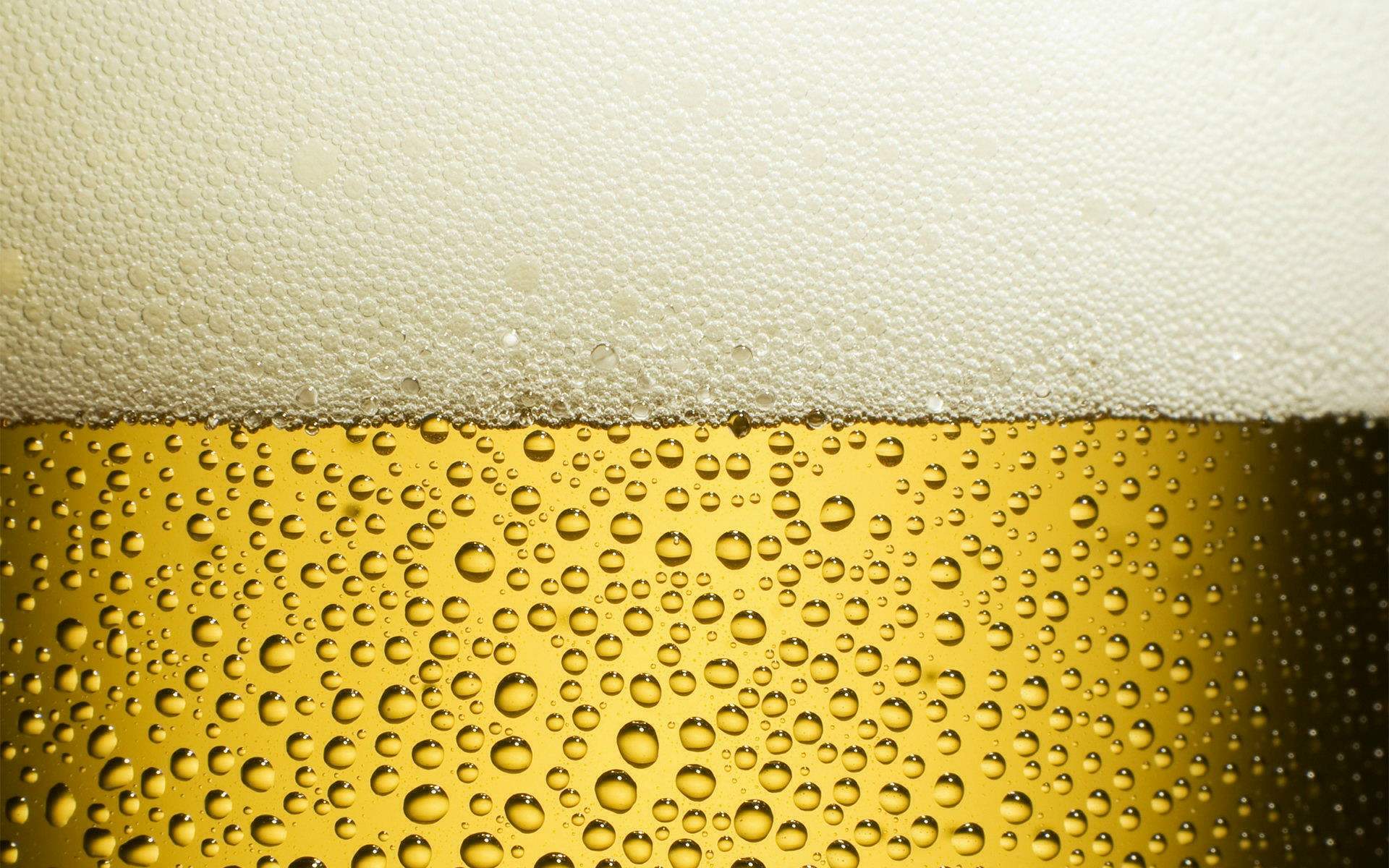 精釀啤酒設(shè)備,啤酒廠設(shè)備,開辦啤酒廠,啤酒質(zhì)量