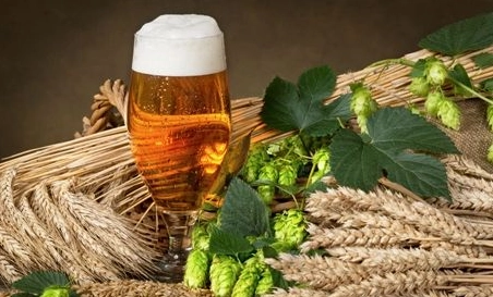 精釀啤酒中，如何選擇恰當(dāng)?shù)慕湻椒ǎ?> </a>
    </dt> 
    <dd> 
     <h4><a href=
